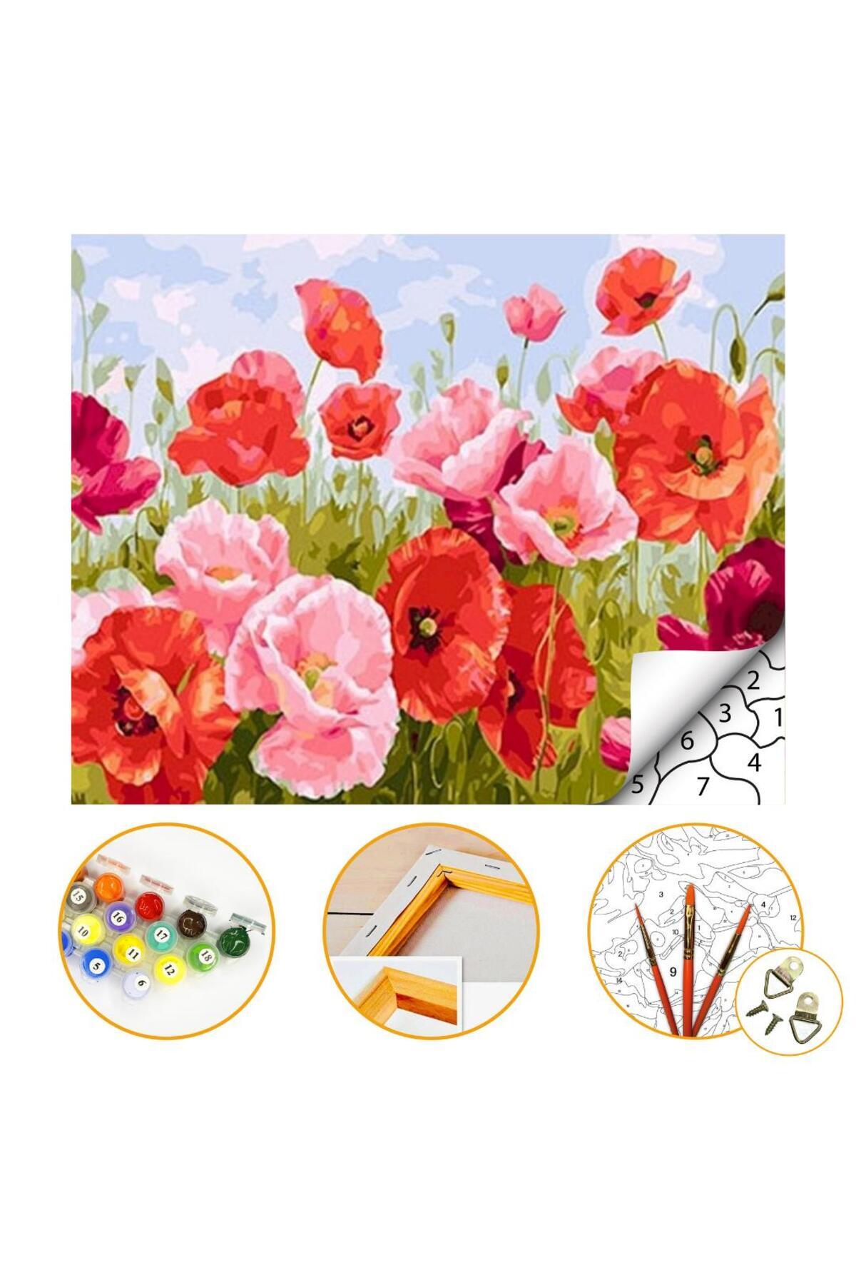 Gelincik - Sayılarla Boyama Seti Kasnaklı 40x50cm Boyalar ve Fırçalar Dahil