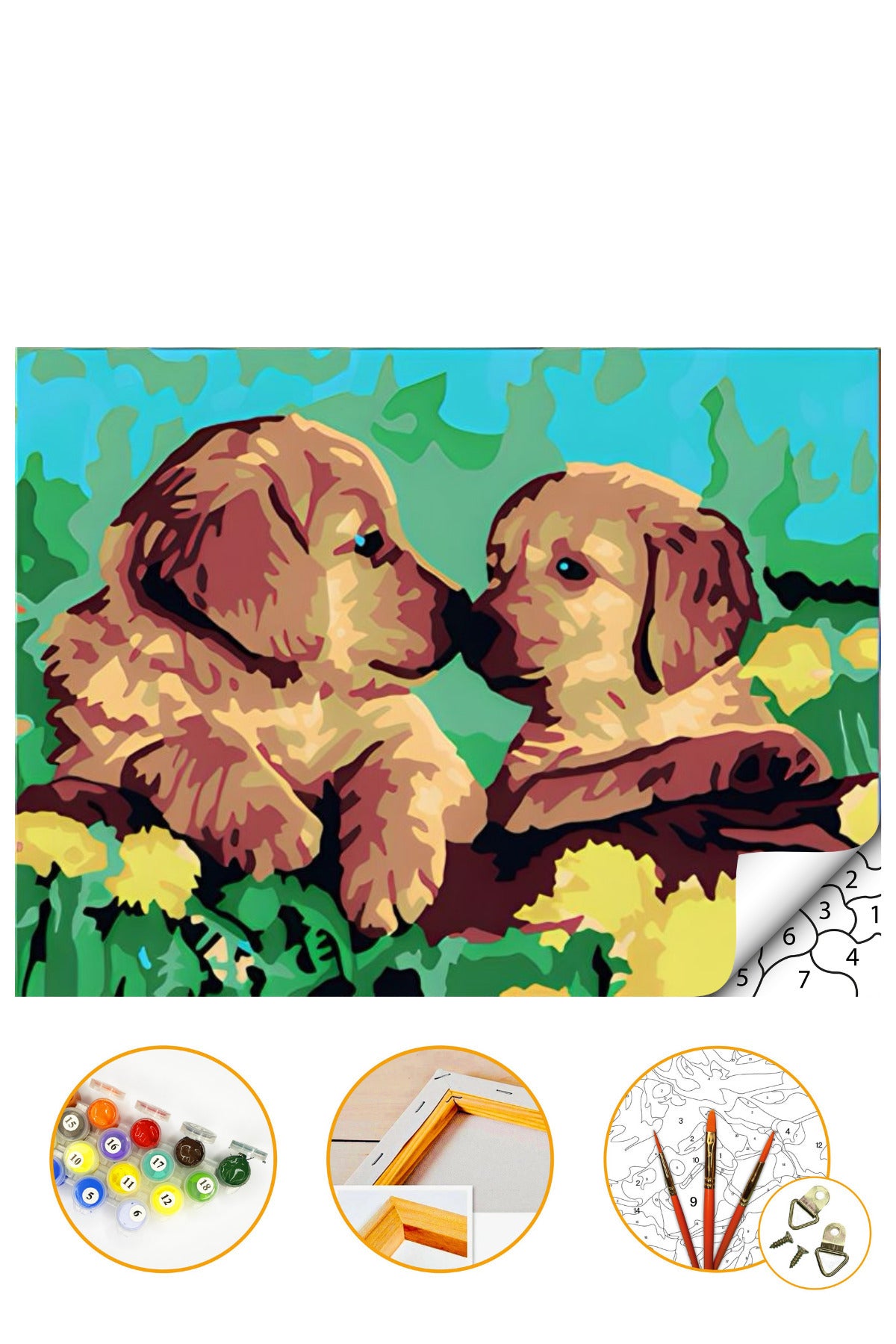 Şirin Köpekler - Sayılarla Boyama Seti Kasnağa Gerili 40x50cm Boyalar ve Fırçalar Dahil