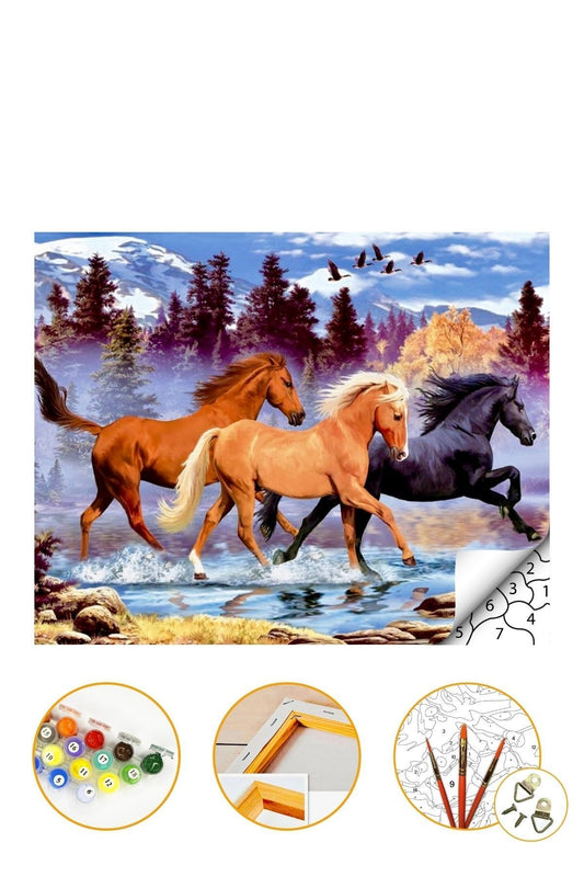 Sayılarla Boyama Hobi Seti "Boyalar Ve Fırçalar Çerçeveli 40x50cm (Numaralı Akrilik Boya Yap Seti)