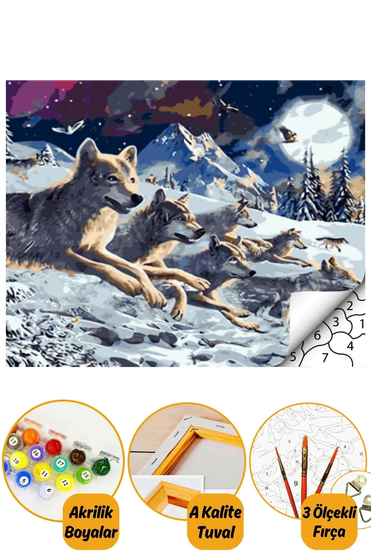 Kurtlar - Sayılarla Boyama Seti Kasnağa Gerili 40x50cm Boyalar ve Fırçalar Dahil